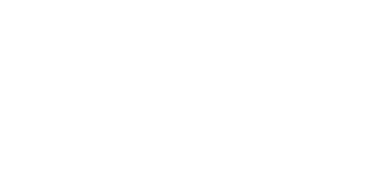 Texican Foods Logo